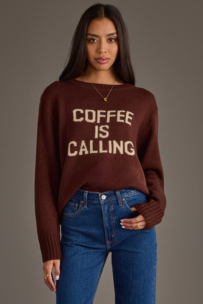 Panache Coffee Is Calling Sweater in Brown - front view