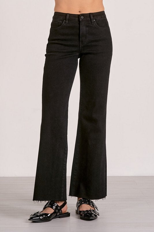 Elan Jemma Wide Leg Jean in Black - front view