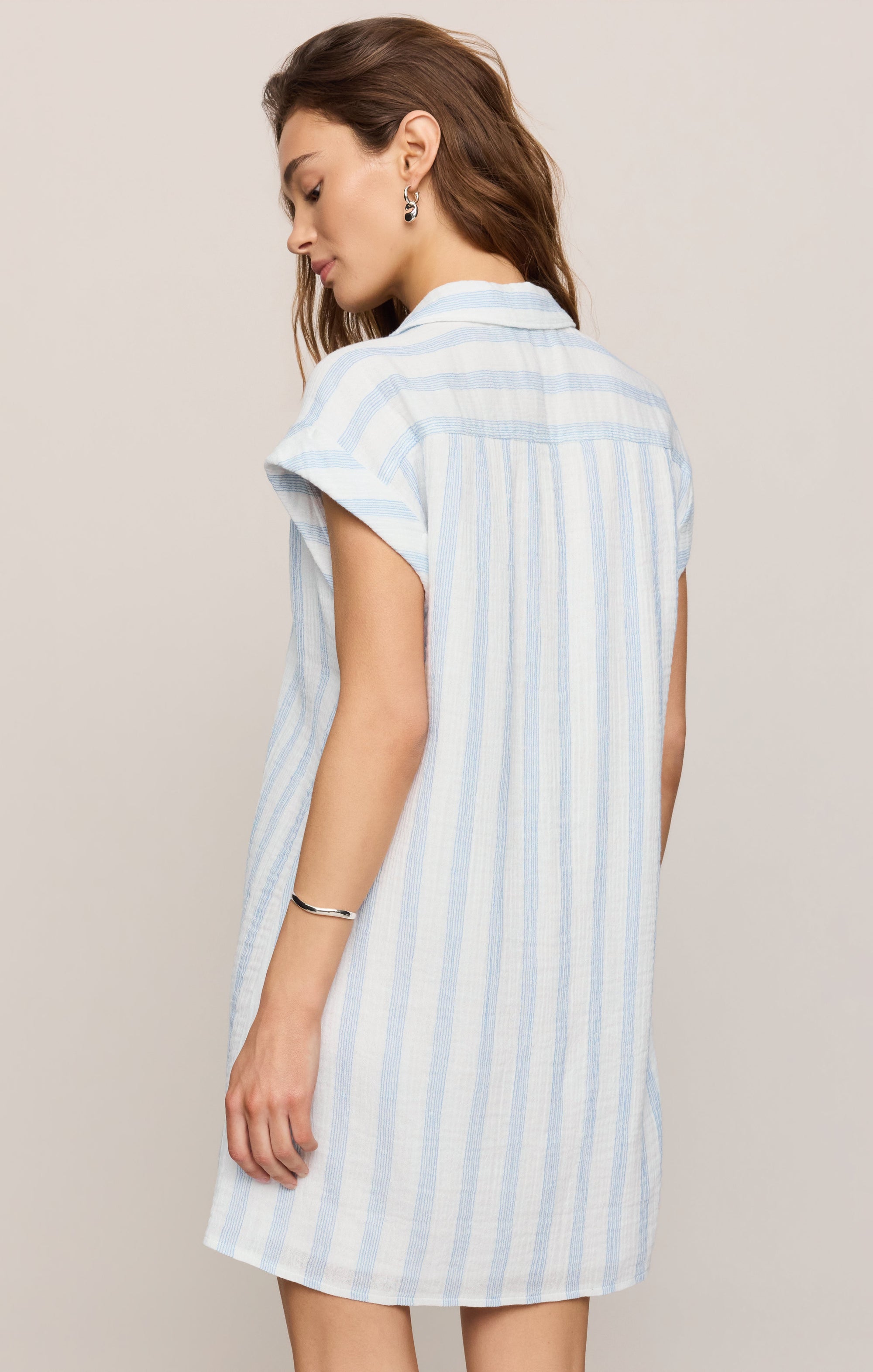 Z Supply Shelbound Dress in Sea Salt - back view