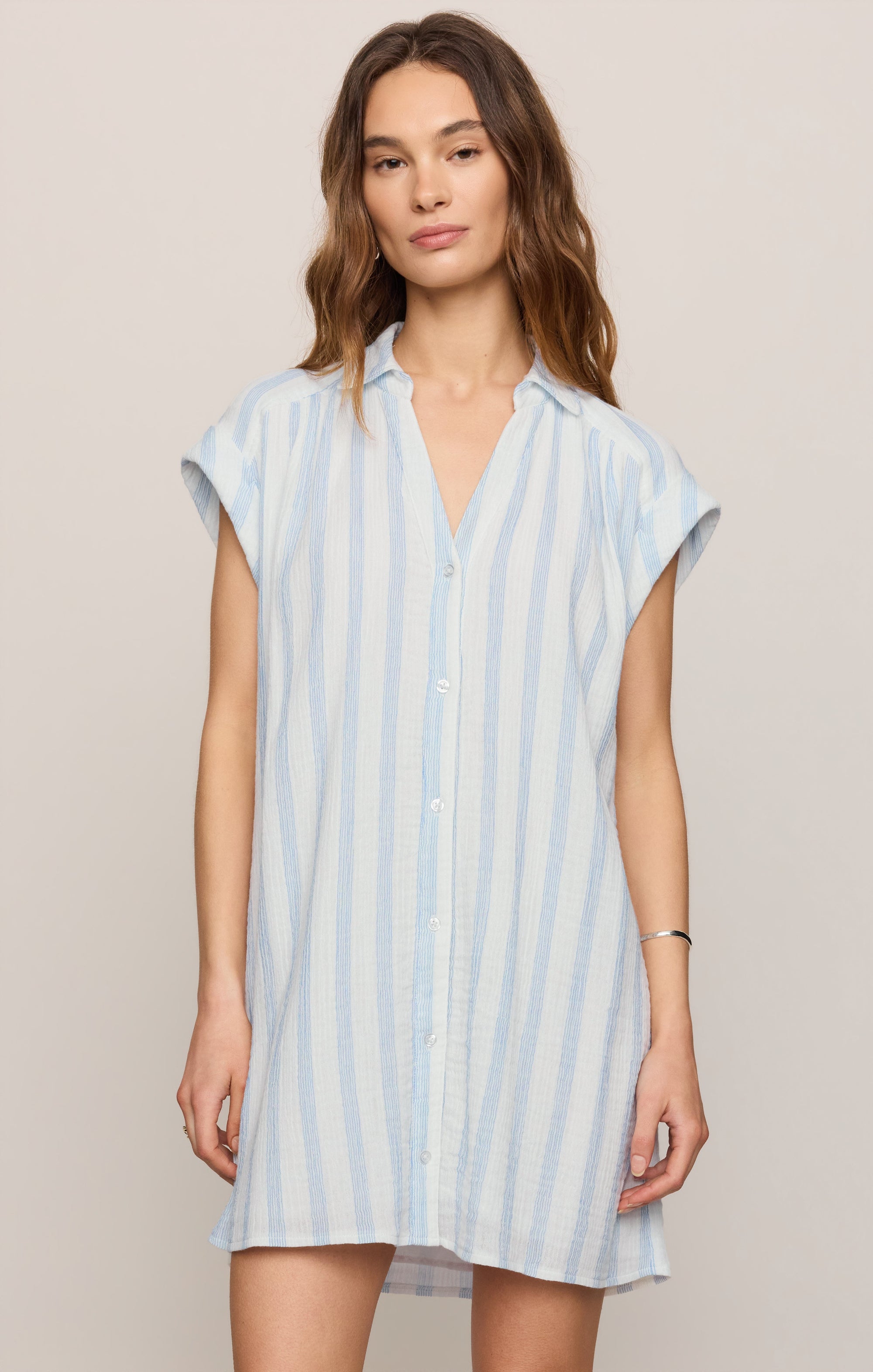 Z Supply Shelbound Dress in Sea Salt - front view