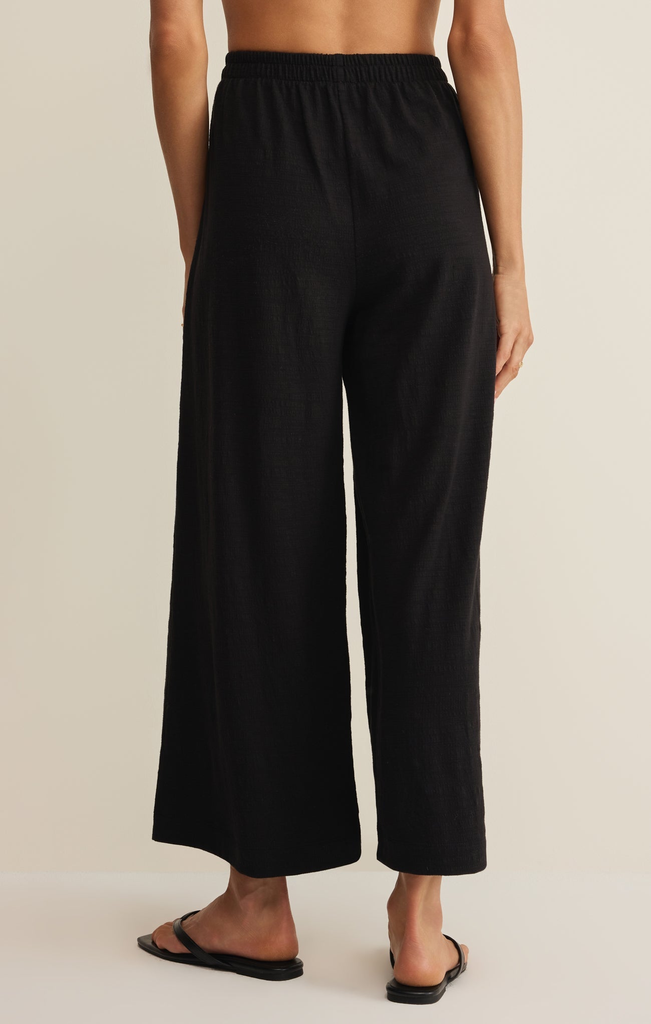 Z Supply Scout Textured Slub Pant in Black - back view