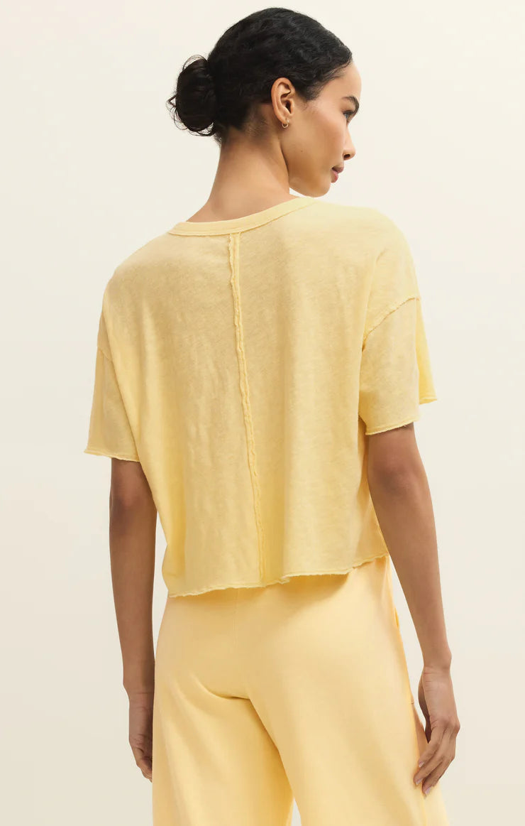 Z Supply Everyday Pocket Tee in Sunnyside, back view