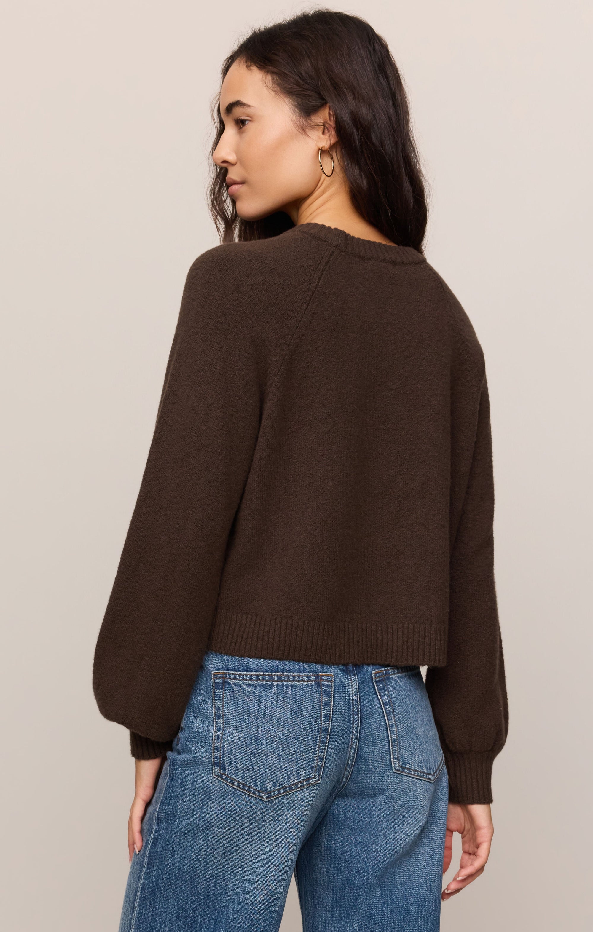 Z Supply Coming Up Sweater in Dark Chocolate - back view